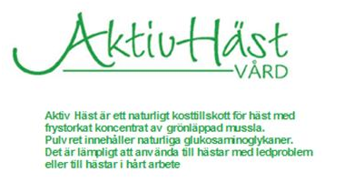 Aktiv Hästvård