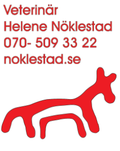 startsidan