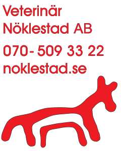 startsidan
